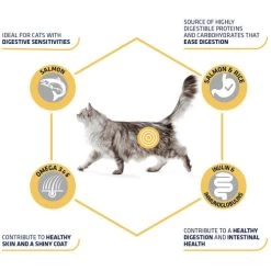 Affinity Advance Adult Salmon Sensitive - Katze 12 Affinity Advance Adult Salmon Sensitive - Katze -Haustierprodukte affinity advance adult salmon sensitive kat 178666 0500 none