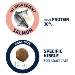 Affinity Advance Adult Salmon Sensitive - Katze 10 Affinity Advance Adult Salmon Sensitive - Katze -Haustierprodukte affinity advance adult salmon sensitive kat 178669 0500 none