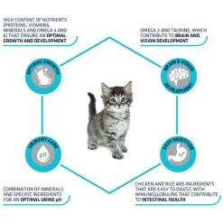 Affinity Advance Kitten Huhn Und Reis 12 Affinity Advance Kitten Huhn Und Reis -Haustierprodukte affinity advance kitten kip en rijst kat 178231 0500 none