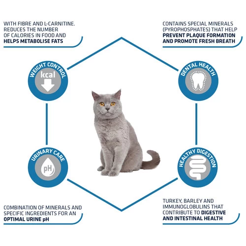 Affinity Advance Sterilized Pute - Katze 5 Affinity Advance Sterilized Pute - Katze – Bild 3