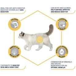 Affinity Advance Sterilized Salmon Sensitive - Katze 16 Affinity Advance Sterilized Salmon Sensitive - Katze -Haustierprodukte affinity advance sterilized salmon sensitive kat 178282 0500 none