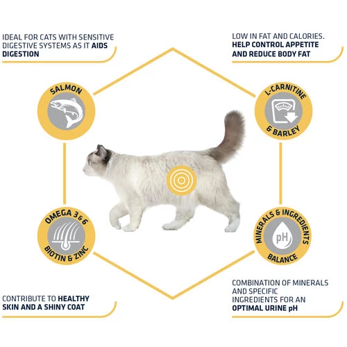 Affinity Advance Sterilized Salmon Sensitive - Katze 8 Affinity Advance Sterilized Salmon Sensitive - Katze – Bild 6