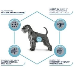 Affinity Advance Veterinary Diets Gastroenteric Hund -Haustierprodukte affinity advance veterinary diets gastroenteric hond 177655 0500 none