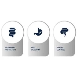 Affinity Advance Veterinary Diets Gastroenteric Hund -Haustierprodukte affinity advance veterinary diets gastroenteric hond 177658 0500 none