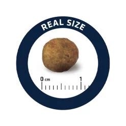 Affinity Advance Veterinary Diets Gastroenteric Hund -Haustierprodukte affinity advance veterinary diets gastroenteric hond 177679 0500 none