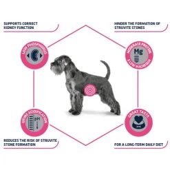 Affinity Advance Veterinary Diets Urinary Hund -Haustierprodukte affinity advance veterinary diets urinary hond 177715 0500 none