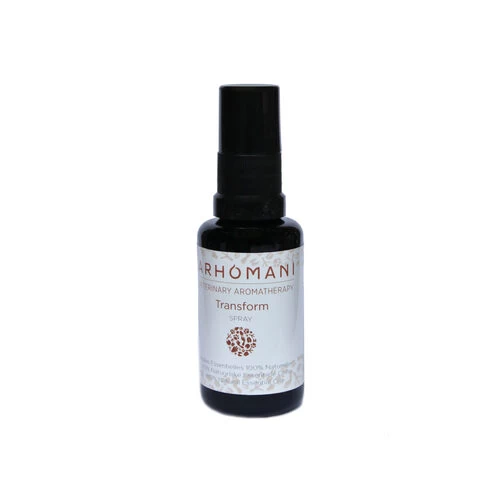 Arhomani Transform 3 Arhomani Transform