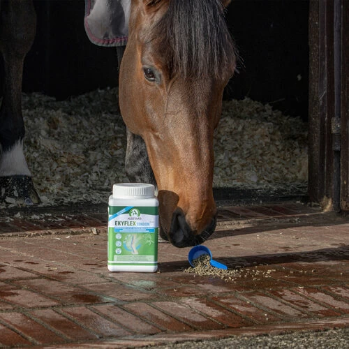 Audevard Ekyflex Tendon EVO 4 Audevard Ekyflex Tendon EVO – Bild 2