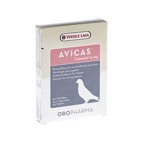 Avicas 3 Avicas