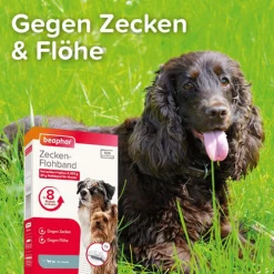 Beaphar Flöhe- Und Zekenband Hund -Haustierprodukte beaphar vlooien en tekenband 221692 0500 none