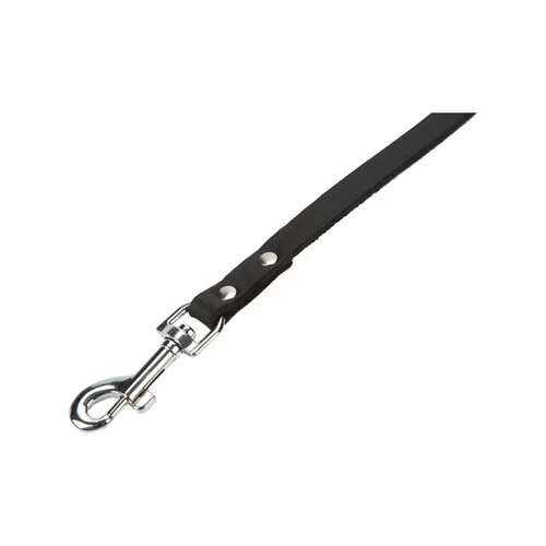 Beeztees Enjoy Hundeleine 7 Beeztees Enjoy Hundeleine – Bild 5