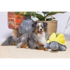 Beeztees Hide And Seek Schildo -Haustierprodukte beeztees hide and seek schildo 221787 0500 none