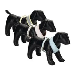 Beeztees Hundegeschirr