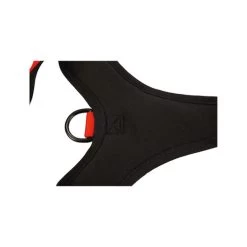 Beeztees Parinca Premium Y-Geschirr 13 Beeztees Parinca Premium Y-Geschirr -Haustierprodukte beeztees parinca premium y tuig 199583 0500 none