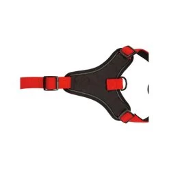 Beeztees Parinca Premium Y-Geschirr 12 Beeztees Parinca Premium Y-Geschirr -Haustierprodukte beeztees parinca premium y tuig 199589 0500 none