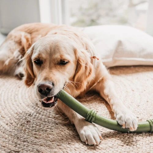 Beeztees Sumo Fit Stick 4 Beeztees Sumo Fit Stick – Bild 2