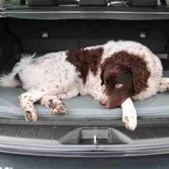 Bia Original Matratze Grau -Haustierprodukte bia original matras grijs 164077 0500 none