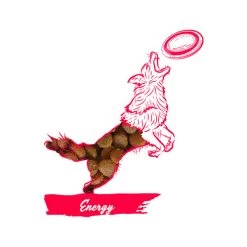 Calibra Dog Expert Nutrition Energy -Haustierprodukte calibra dog expert nutrition energy 163534 0500 none