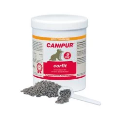 Canipur Corfit