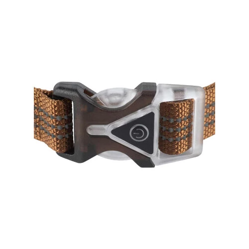 Carhartt Lighted Dog Collar 5 Carhartt Lighted Dog Collar – Bild 3