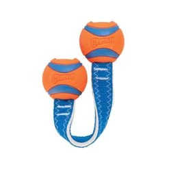 Chuckit! Ultra Duo Tug