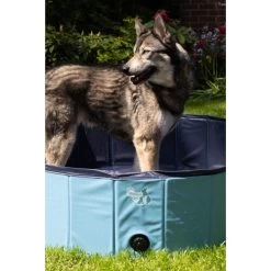 CoolPets Hundepool -Haustierprodukte coolpets zwembad 198140 0500 none