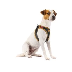 Curli Vegan Apple Leather Geschirr -Haustierprodukte curli harnas vegan appelleer 216631 0500 none