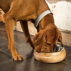 Designed By Lotte Futter- Und Trinknapf Mandira Aus Holz -Haustierprodukte designed by lotte houten eet en drinkbak mandira 170023 0500 none