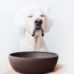 District 70 Bamboo Hundenapf -Haustierprodukte district 70 bamboo voerbak voor honden 207695 0500 none