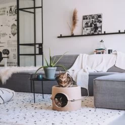 District 70 Bunker 14 District 70 Bunker -Haustierprodukte district 70 bunker 190954 0500 none