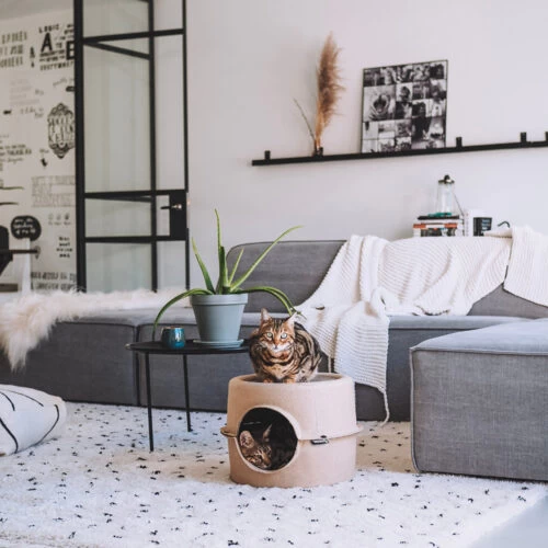 District 70 Bunker 7 District 70 Bunker – Bild 5