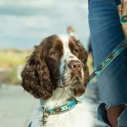 DWAM Halsband Boho Juan -Haustierprodukte dwam halsband boho juan 133658 0500 none