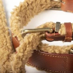 DWAM Halsband Teddy -Haustierprodukte dwam halsband teddy 189206 0500 none