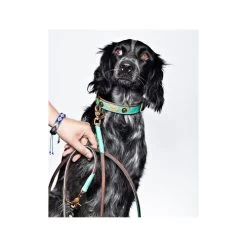 DWAM Hundeleine Johnny Cash -Haustierprodukte dwam hondenriem johnny cash 162814 0500 none