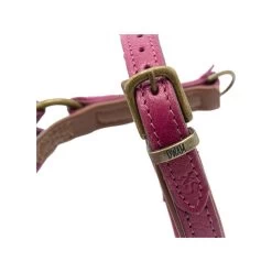 DWAM Hundegeschirr Lou Lou -Haustierprodukte dwam hondentuigje lou lou 182158 0500 none