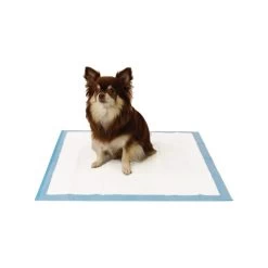 Easypets Trainingpads -Haustierprodukte easypets trainingspads 184186 0500 none
