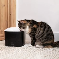 Ebi Manoa Katzenbrunnen -Haustierprodukte ebi manoa drinkfontein 221800 0500 none