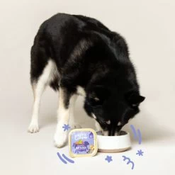 Edgard & Cooper Adult - Rind & Ente - Schälchen -Haustierprodukte edgard cooper adult rund eend kuipje 168612 0500 none