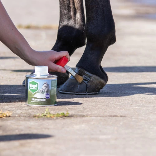 Equi Protecta Huföl 4 Equi Protecta Huföl – Bild 2