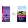 Eukanuba Dog - Growing Puppy - Large Breed -Haustierprodukte eukanuba dog growing puppy large breed 115080 0500 none