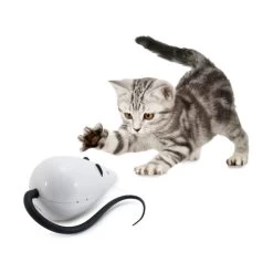 FroliCat RoloRat 11 FroliCat RoloRat -Haustierprodukte frolicat rolorat 136585 0500 none