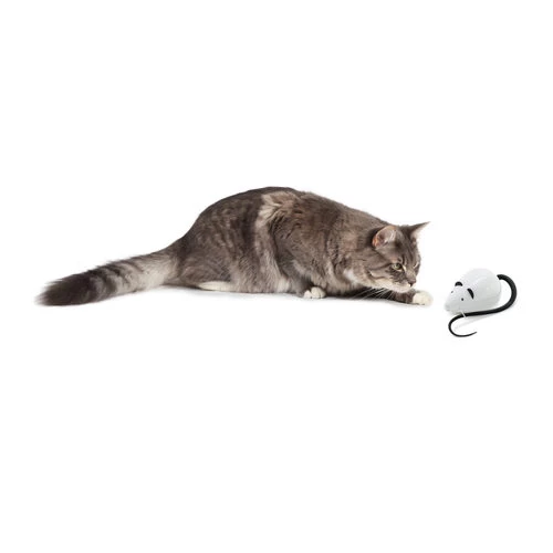 FroliCat RoloRat 5 FroliCat RoloRat – Bild 3