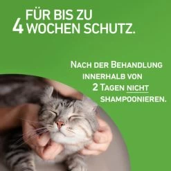 Frontline Combo Spot On Katze -Haustierprodukte frontline combo spot on kat 208217 0500 none