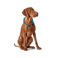 Hunter Halsband Oss -Haustierprodukte hunter halsband oss 116343 0500 none