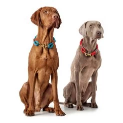 Hunter Halsband Oss -Haustierprodukte hunter halsband oss 146099 0500 none