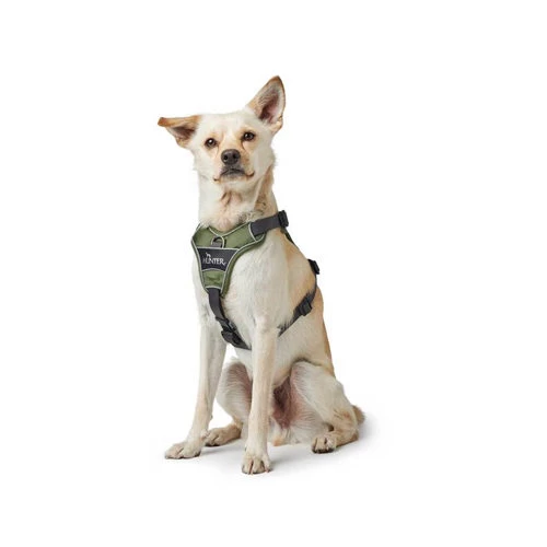 Hunter Geschirr Divo Dunkelblau/Grau 7 Hunter Geschirr Divo Dunkelblau/Grau – Bild 5