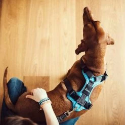 Hunter Geschirr Divo Dunkelblau/Grau 14 Hunter Geschirr Divo Dunkelblau/Grau -Haustierprodukte hunter harnas divo donkerblauwgrijs 166903 0500 none