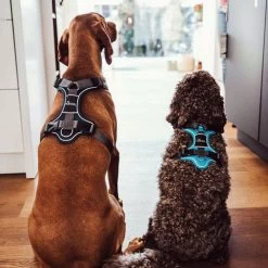 Hunter Geschirr Divo Dunkelblau/Grau 15 Hunter Geschirr Divo Dunkelblau/Grau -Haustierprodukte hunter harnas divo donkerblauwgrijs 166906 0500 none