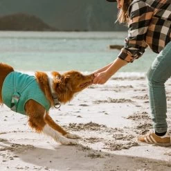 Hurtta Cooling Wrap - Hellblau -Haustierprodukte hurtta cooling wrap lichtblauw 178456 0500 none