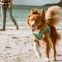 Hurtta Cooling Wrap - Hellblau -Haustierprodukte hurtta cooling wrap lichtblauw 178465 0500 none